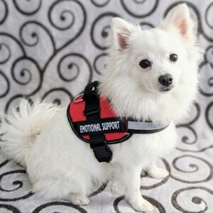 No-Choke Dog Harness Adjustable/Reflective,Easy On/Off Size Medium Circumference
